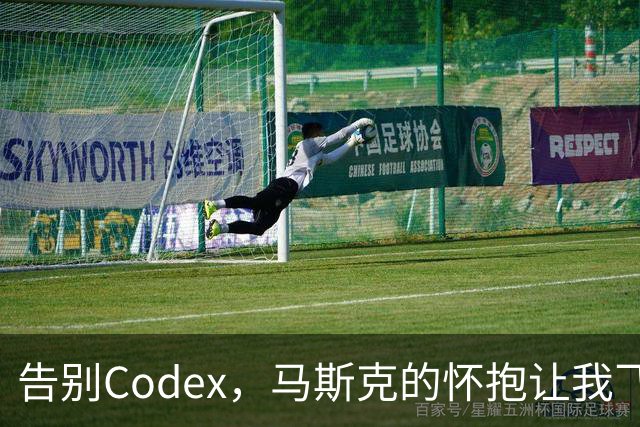 告别Codex，马斯克的怀抱让我飞得更高！